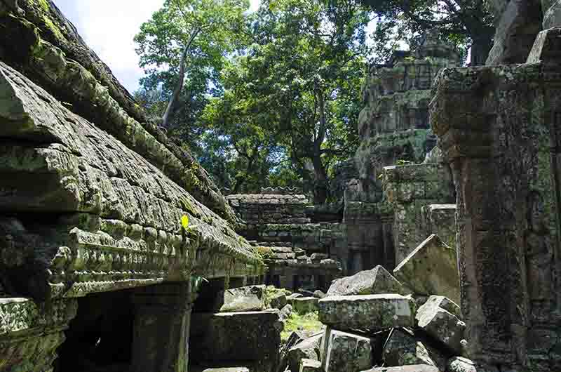 83 - Camboya - Angkor - templo de Ta Prohm